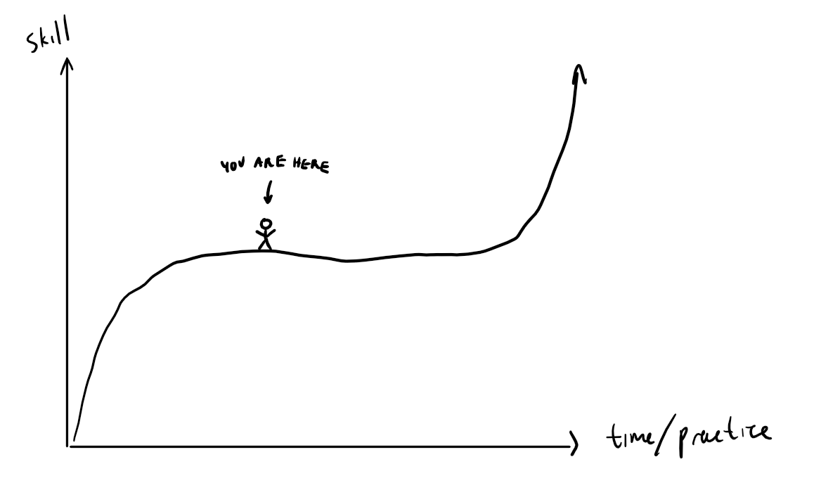 Time-Skill Curve, as showed to me by a friend many years ago