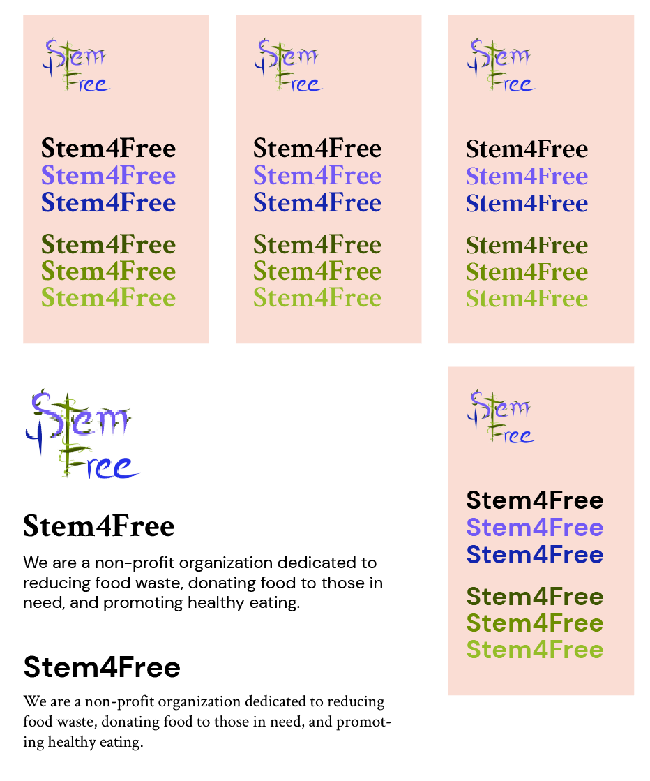 Brand explorations for Stem4Free